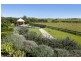273 Hanleys Creek Rd, Dungog NSW 2420