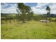 273 Hanleys Creek Rd, Dungog NSW 2420