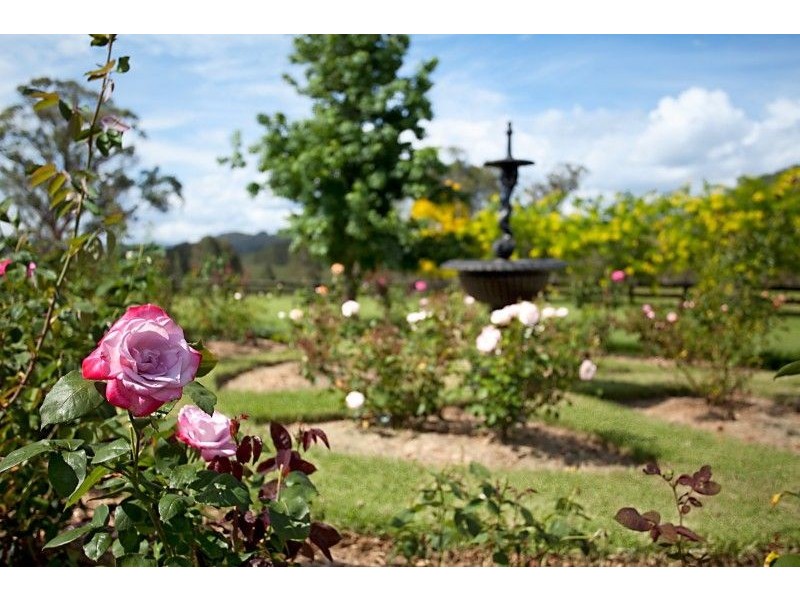 319 Chichester Dam Rd, Dungog NSW 2420