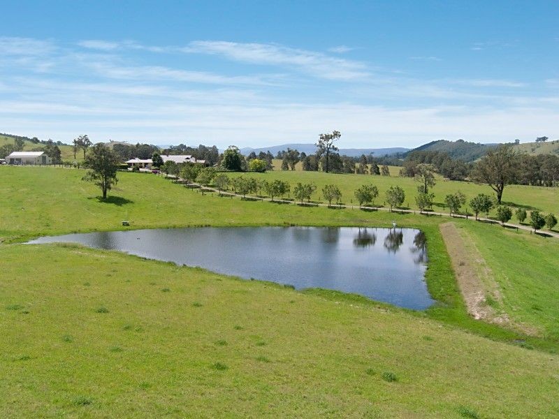 319 Chichester Dam Rd, Dungog NSW 2420