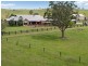 319 Chichester Dam Rd, Dungog NSW 2420