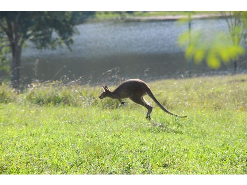 143 Phillips Road, Waukivory NSW 2422