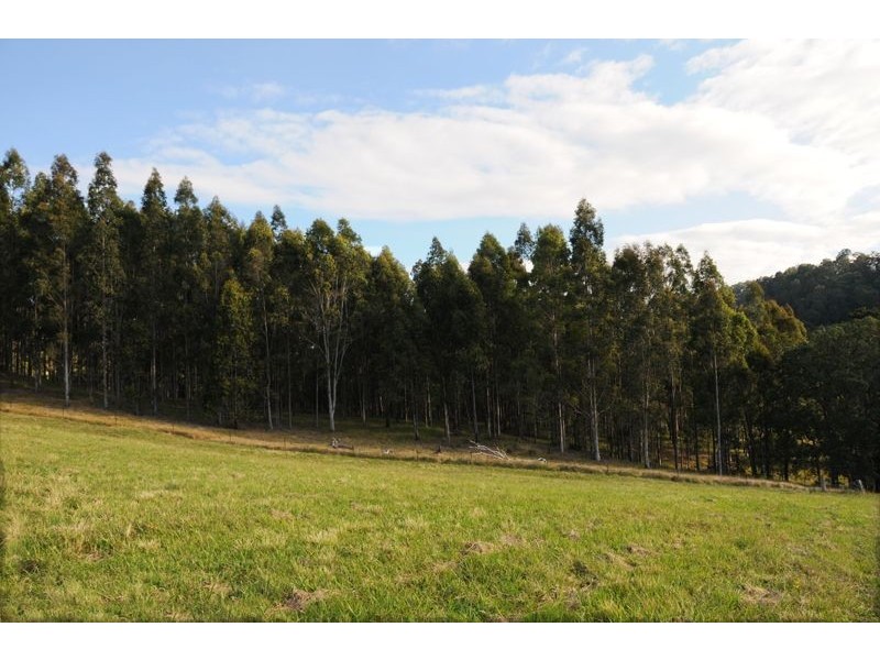 143 Phillips Road, Waukivory NSW 2422