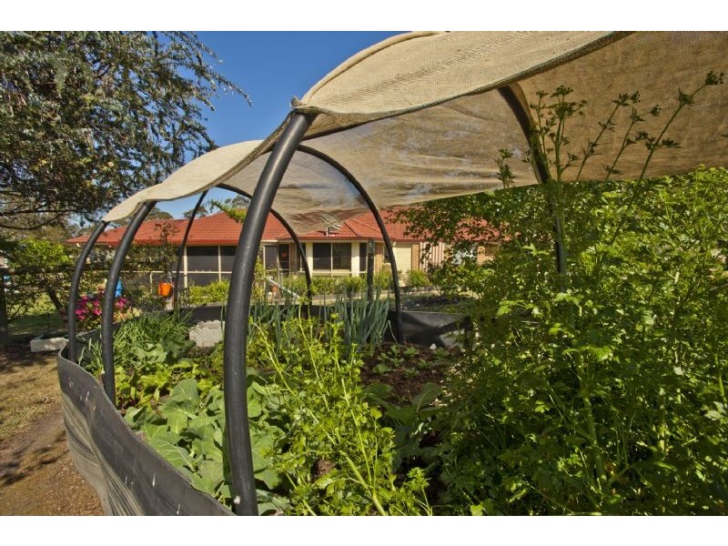 282 Glen Martin Rd, Clarence Town NSW 2321