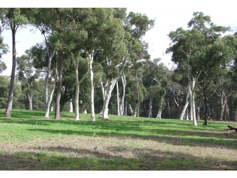 1451 Wombeyan Caves Road, High Range NSW 2575