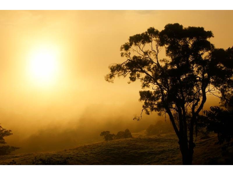 159 Ringwood Road, Exeter NSW 2579