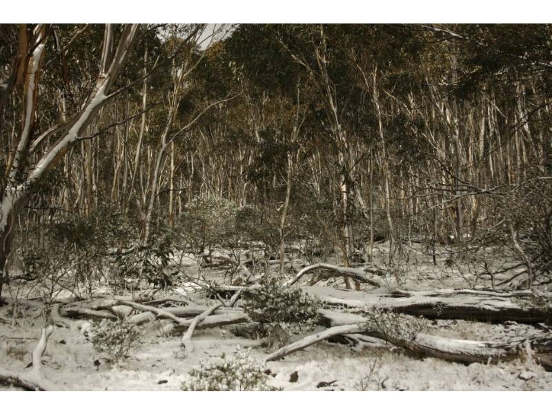 Lot 5 Callemondah Road, Shannons Flat NSW 2630