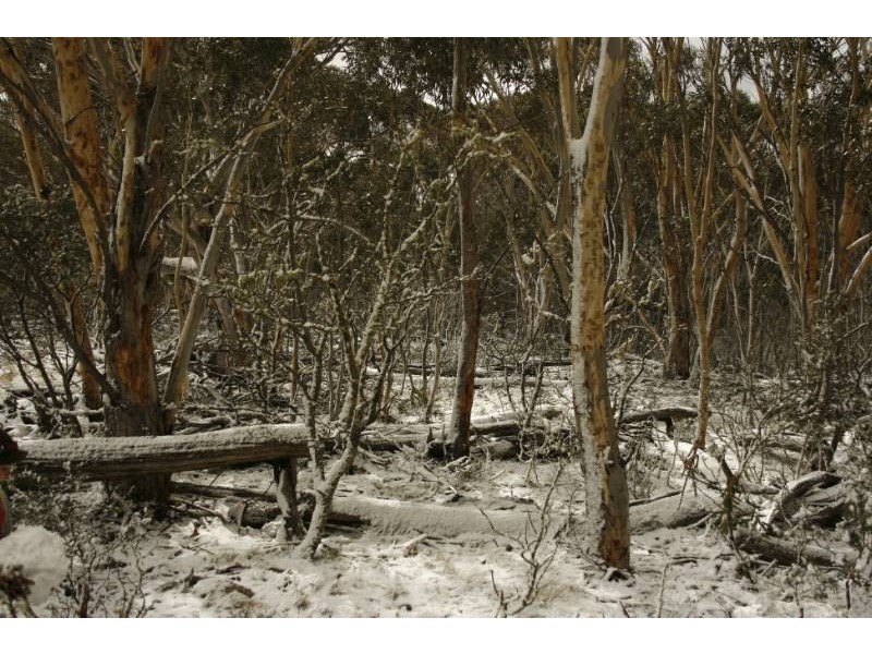 Lot 7 Callemondah Road, Shannons Flat NSW 2630