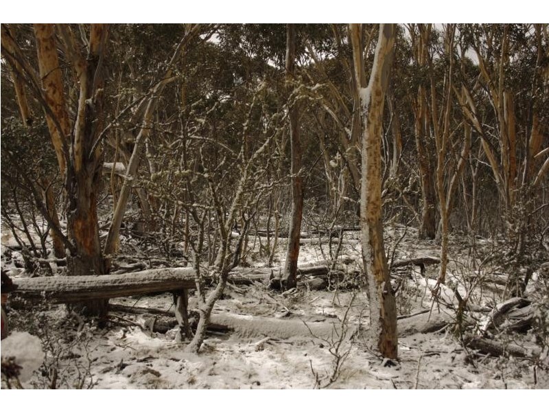 Lot 4/6 Callemondah Road, Shannons Flat NSW 2630