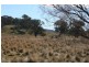 Lot 4/6 Callemondah Road, Shannons Flat NSW 2630