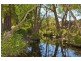 357 Woerdens Rd, Clarence Town NSW 2321