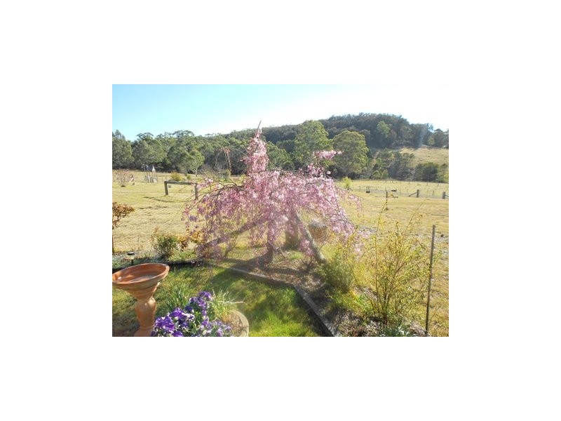 613 Red Hills Road, Marulan NSW 2579