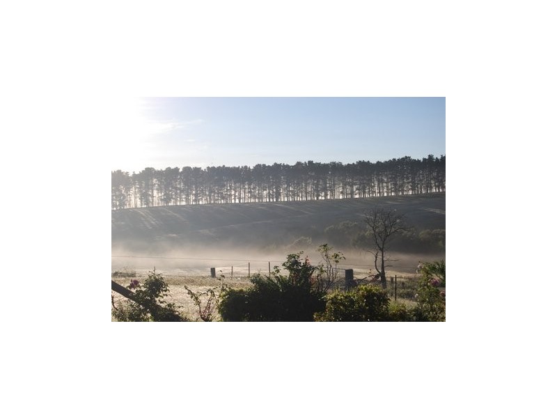 613 Red Hills Road, Marulan NSW 2579