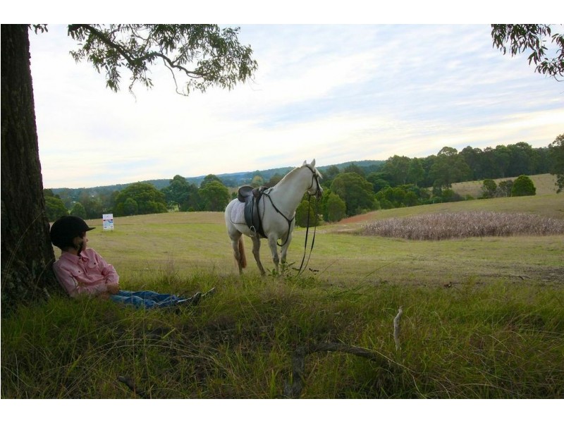Lot 3005 Riverdowns Estate, Clarence Town NSW 2321