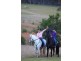 Lot 3005 Riverdowns Estate, Clarence Town NSW 2321