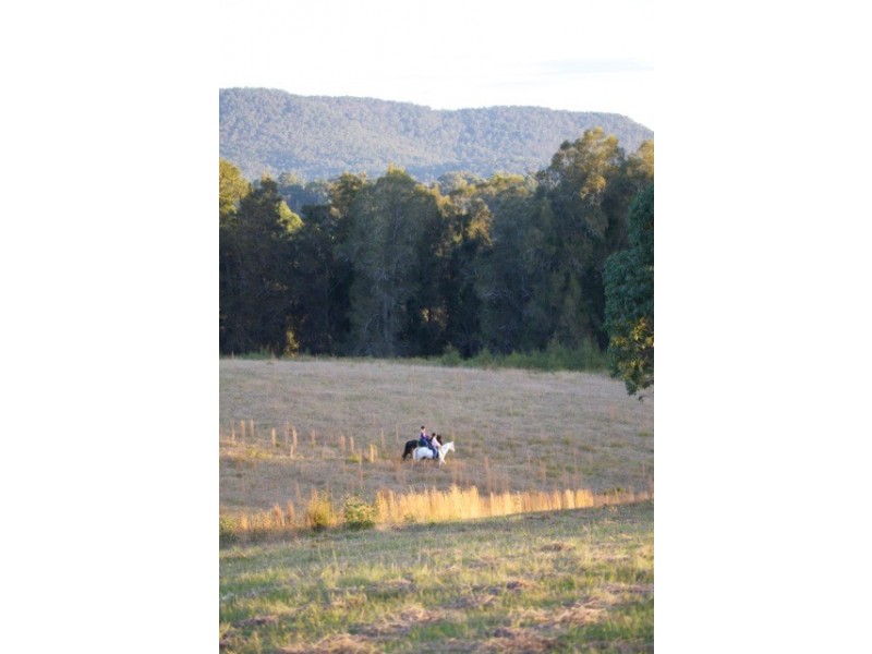 Lot 3005 Riverdowns Estate, Clarence Town NSW 2321