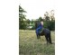 Lot 3005 Riverdowns Estate, Clarence Town NSW 2321