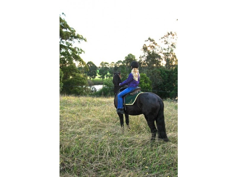 Lot 3005 Riverdowns Estate, Clarence Town NSW 2321