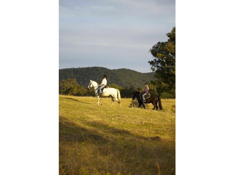 Lot 3005 Riverdowns Estate, Clarence Town NSW 2321