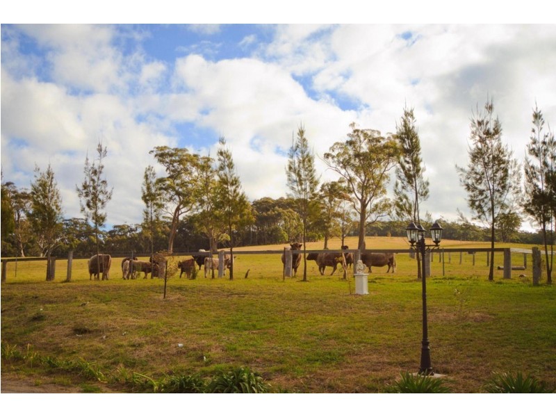 987 Belmore Falls Road, Wildes Meadow NSW 2577