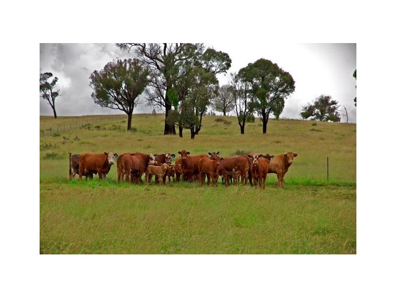 1892 Fish River Road, Narrawa NSW 2583