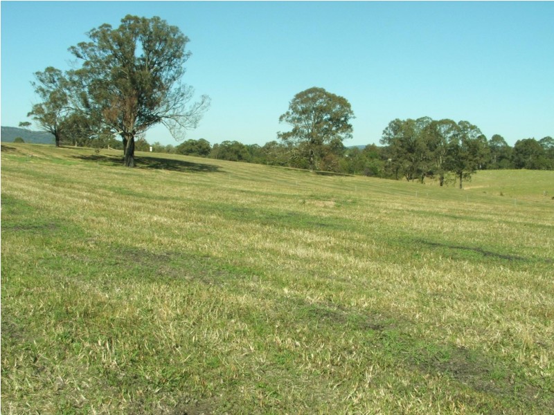 Lot 3003 Riverdowns Estate, Clarence Town NSW 2321
