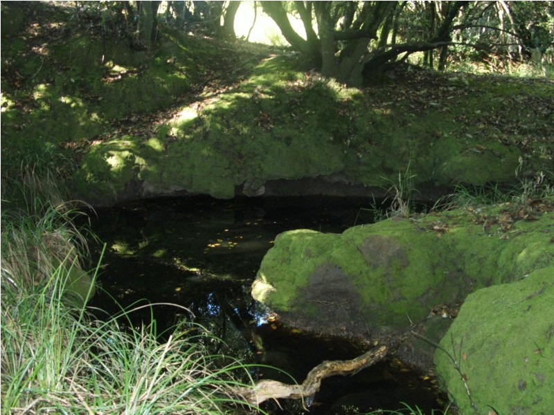 Lot 3003 Riverdowns Estate, Clarence Town NSW 2321