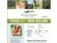 Lot 308 Riverdowns Estate, Clarence Town NSW 2321