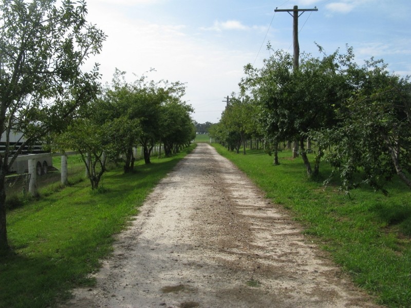 309 Exeter Road, Exeter NSW 2579