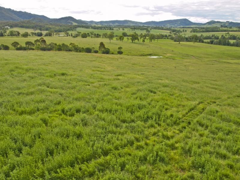 1005 Summer Hill Rd, Vacy NSW 2421