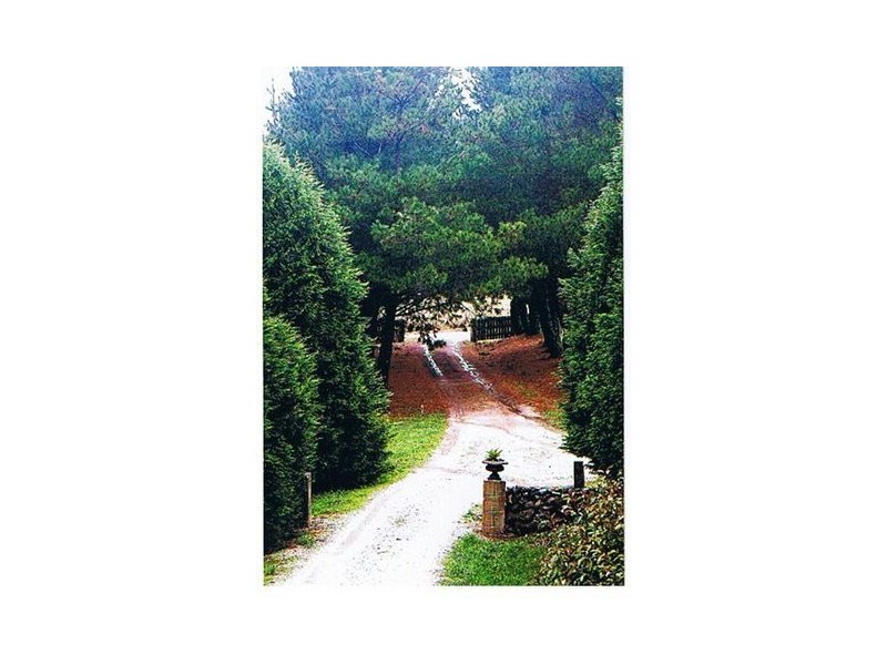 Lot 2 Hoddle Street, Burrawang NSW 2577