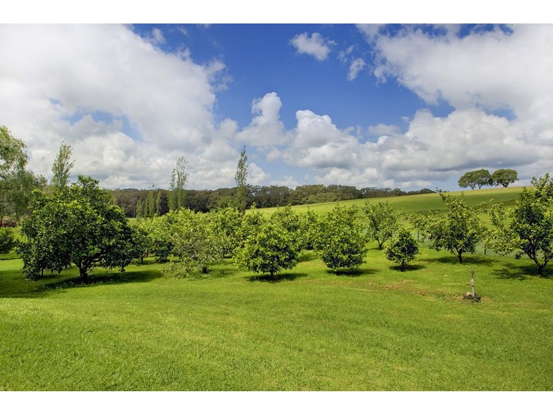 981 Belmore Falls Road, Wildes Meadow NSW 2577