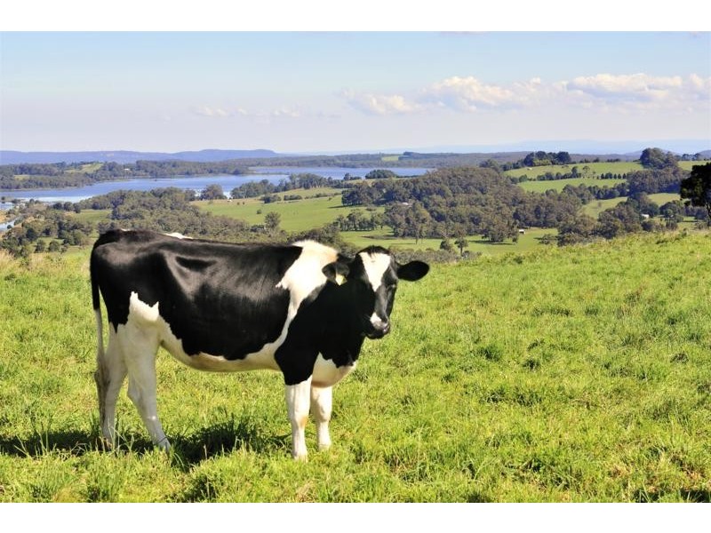 Lot 2 Hoddle Street, Burrawang NSW 2577