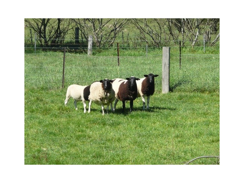 6382 ” Numbawarra ” Illawarra Highway, Moss Vale NSW 2577