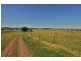 Nelsons Plains NSW 2324