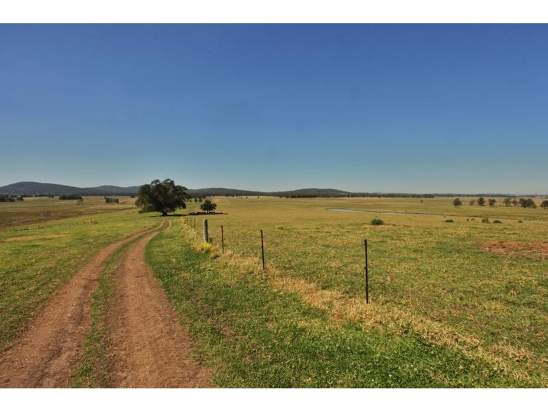Nelsons Plains NSW 2324