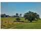 Nelsons Plains NSW 2324