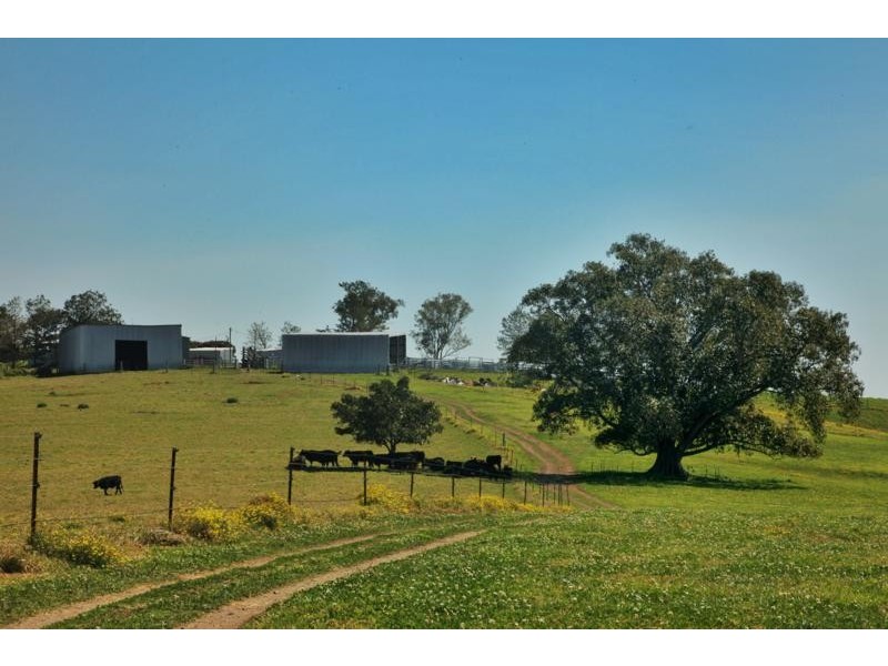 Nelsons Plains NSW 2324
