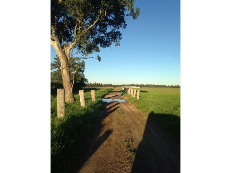 163 Nalleys Creek Rd, Millers Forest NSW 2324