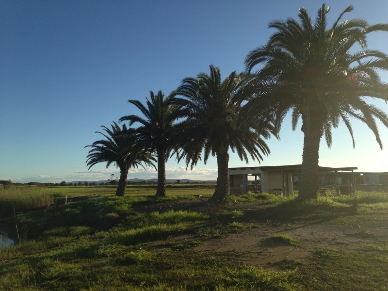 163 Nalleys Creek Rd, Millers Forest NSW 2324