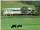 281 Alison Rd, Dungog NSW 2420