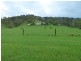 281 Alison Rd, Dungog NSW 2420