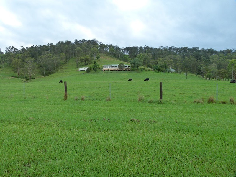 281 Alison Rd, Dungog NSW 2420