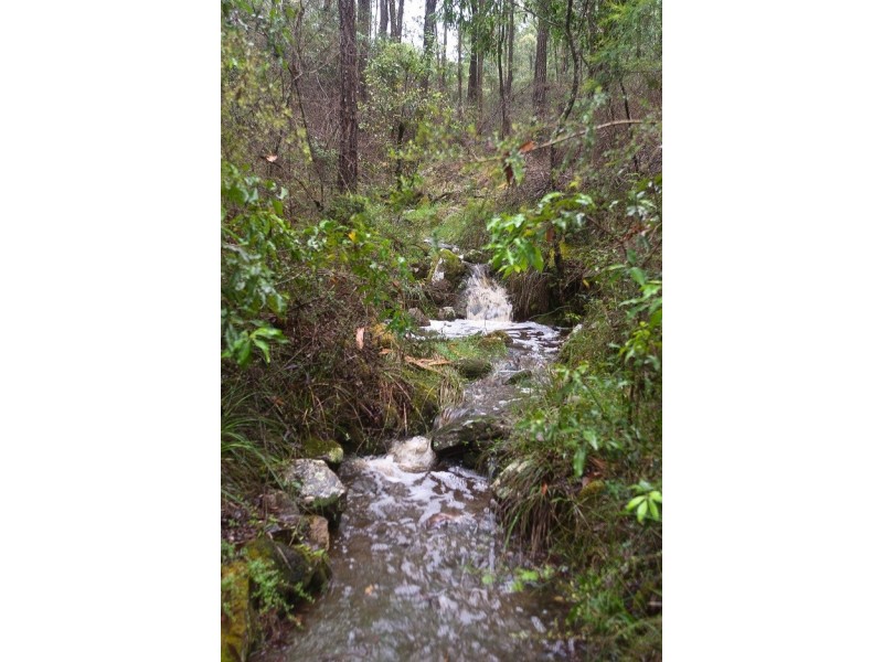 466 Pinebrush Road, Dungog NSW 2420