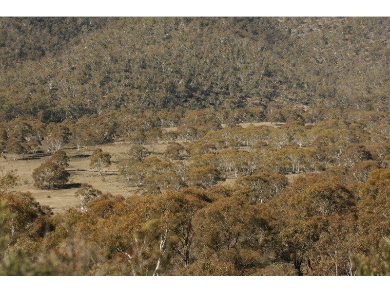 Lot 167 Dangelong Rd, Cooma NSW 2630