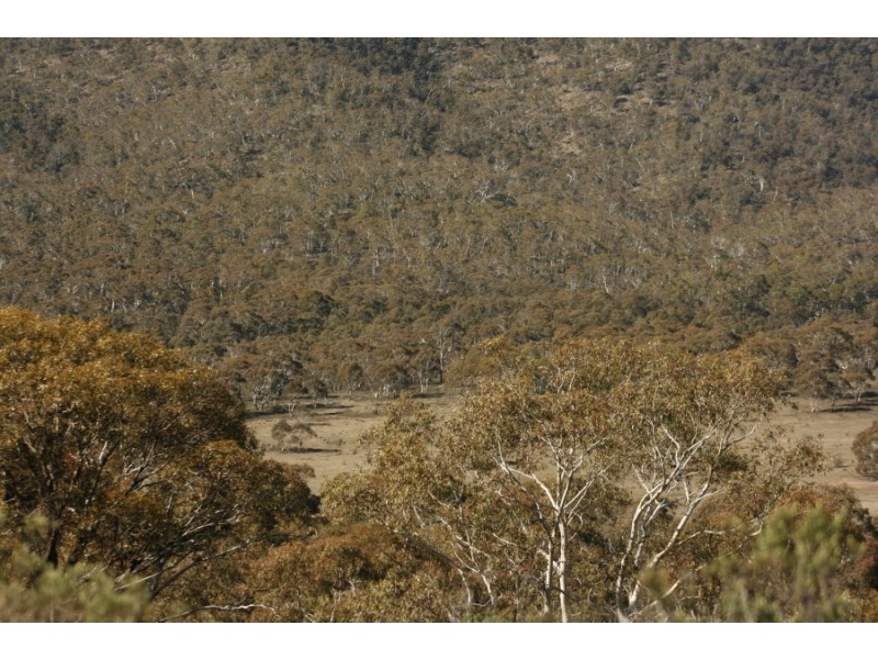 Lot 167 Dangelong Rd, Cooma NSW 2630