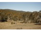 Lot 110 Dangelong Rd, Cooma NSW 2630