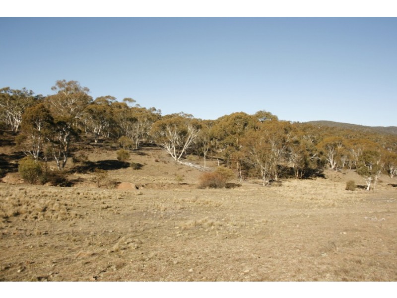 Lot 110 Dangelong Rd, Cooma NSW 2630