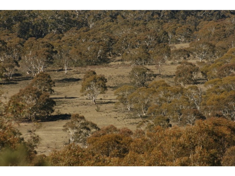 Lot 158 Dangelong Rd, Cooma NSW 2630