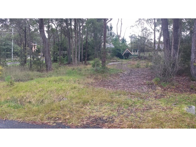 2 Warrigal Street, Willow Vale NSW 2575